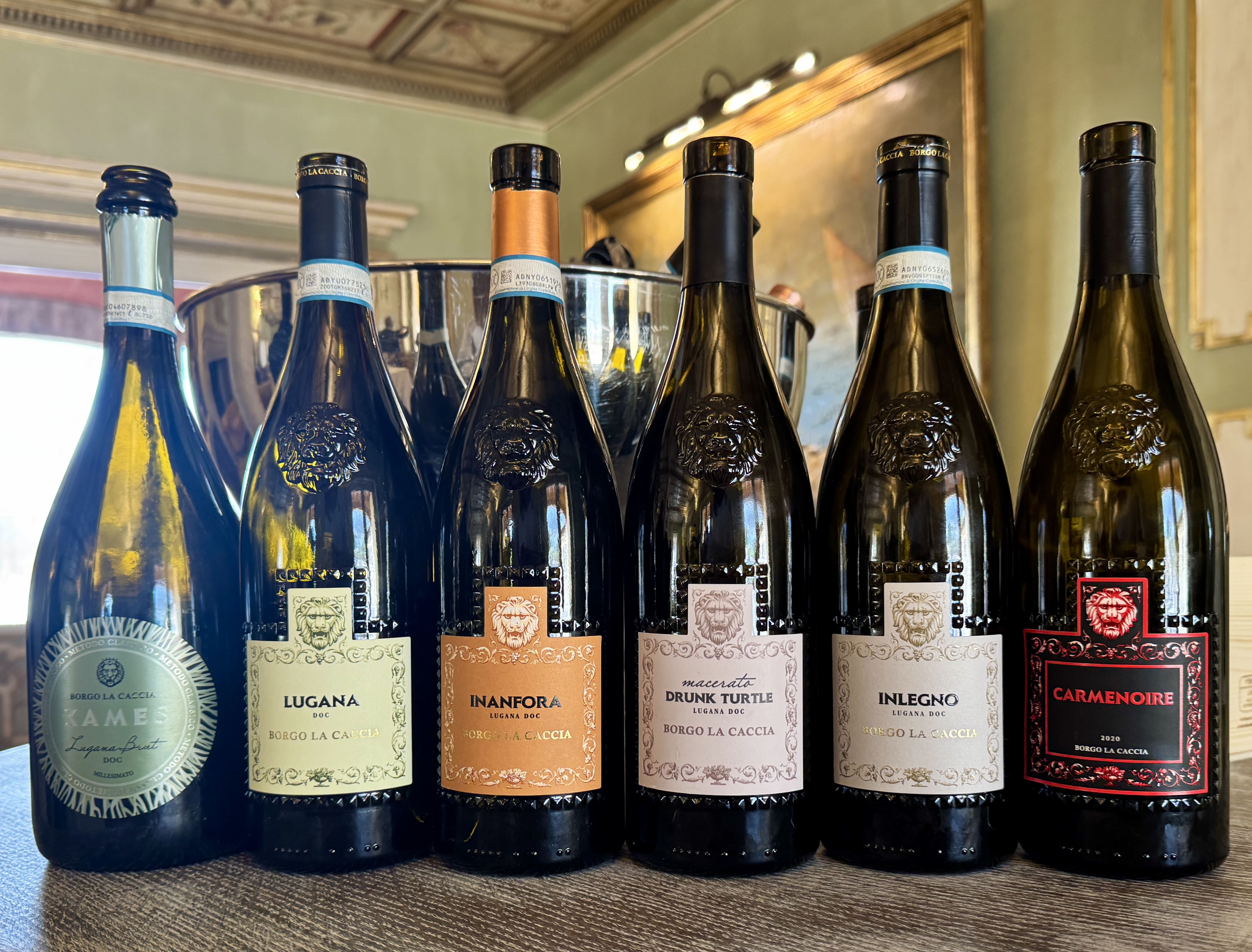 Borgo La Caccia: between viticulture, territory and social commitment in the morainic hills of Lake Garda